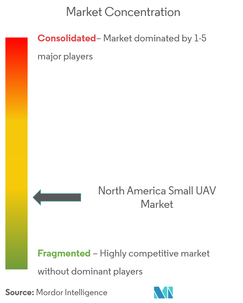 Marktkonzentration für kleine UAVs in Nordamerika